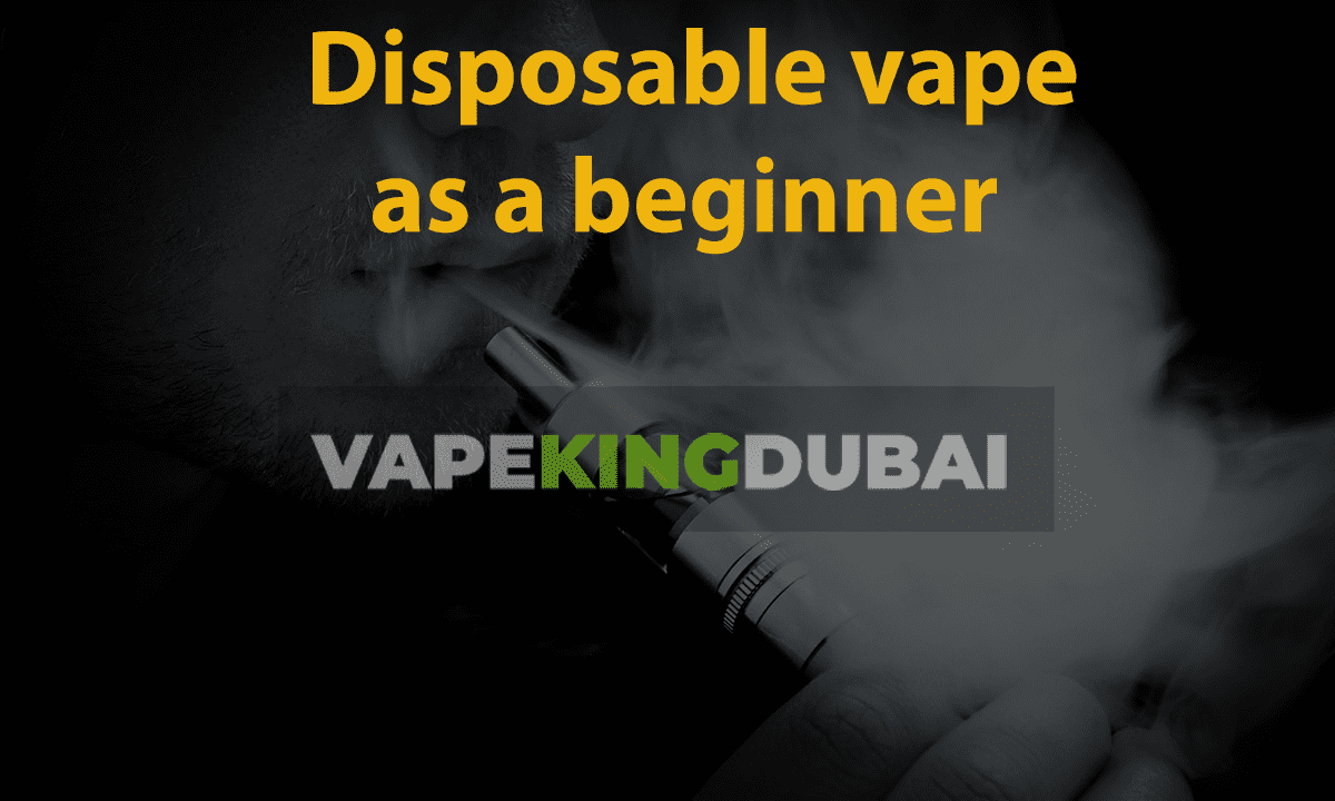 Disposable vape as a beginner vapekingdubai