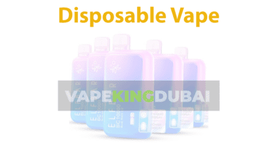 Disposable vape vapekingdubai