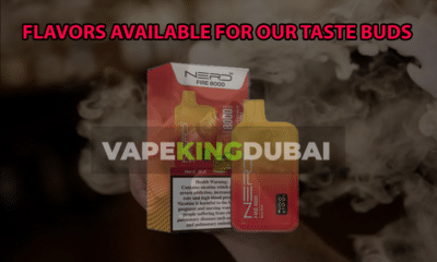 Nerd Fire 8000 Puffs Disposable Vape VAPEKINGDUBAI uae