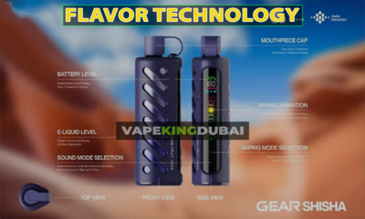 Flavor Technology vapekingdubai.shop