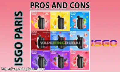 ISGO Bar Paris X 30000 Puffs Pros and Cons vapekingdubai.shop