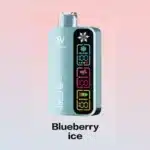 Silvaper Ice Control 40000 Puffs Disposable Vape 20mg - Image 7