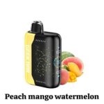 GEEK BAR PULSE X 25000 Puffs Disposable Vape In UAE - Image 12
