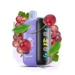 Elfbar Raya D3 25000 Puffs Disposable Vape 5% - Image 8