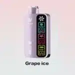 Silvaper Ice Control 40000 Puffs Disposable Vape 20mg - Image 11