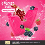 Top ISGO Paris 14000 Puffs Disposable Vape In Dubai | UAE - Image 2