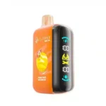 Elfbar Raya D3 25000 Puffs Disposable Vape 5% - Image 11