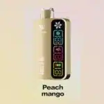 Silvaper Ice Control 40000 Puffs Disposable Vape 20mg - Image 3