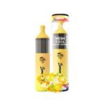 BUY TUGBOAT EVO DISPOSABLE VAPE 4500 PUFFS In Dubai - Image 7
