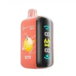 Elfbar Raya D3 25000 Puffs Disposable Vape 5% - Image 15
