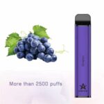 CHEWII XXL DISPOSABLE 2500 PUFFS FULL BOX - Image 10
