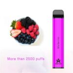 CHEWII XXL DISPOSABLE 2500 PUFFS FULL BOX - Image 6
