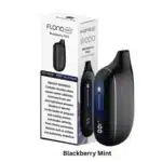 FLONQ MAX 8000 Puffs Disposable Vape - Image 3