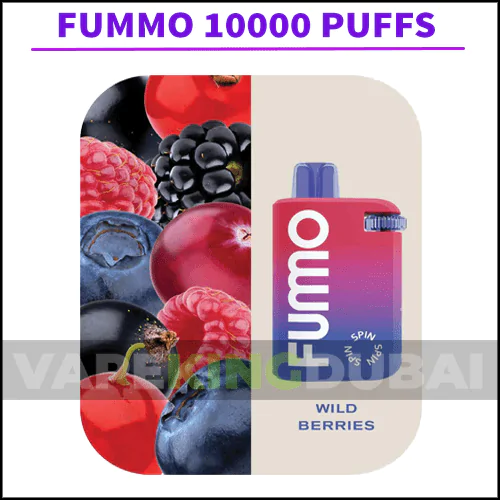 FUMMO 10000 PUFFS VAPEKINGDUBAI 2